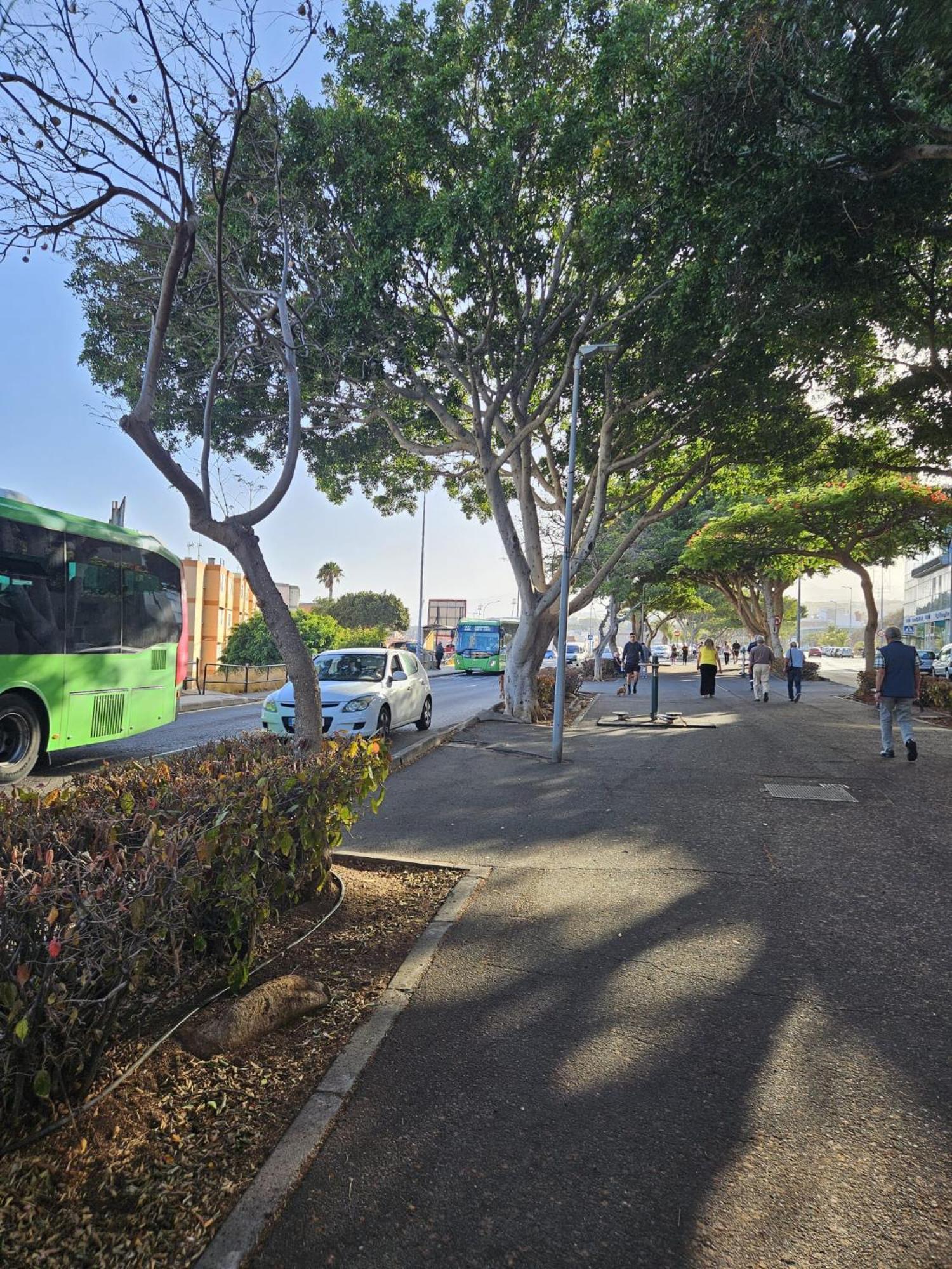 Acogedor Atico Con Terraza En San Cristobal De La Laguna Exterior foto